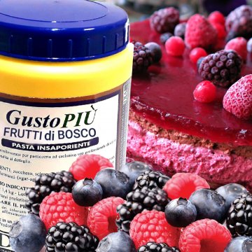 GUSTOPIÙ FRUTTI DI BOSCO KG 1,4